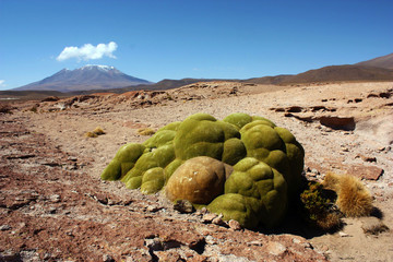 Travelling the world