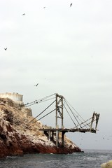 Travelling the world