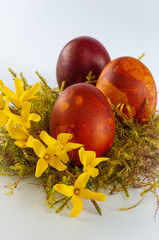 Painted easter eggs.