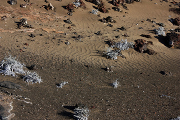 Travelling the world