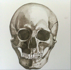 Close-up van menselijke schedel schilderij op witte achtergrond