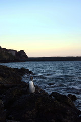 Travelling the world