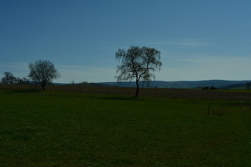 Schlettau  Erzgebirge