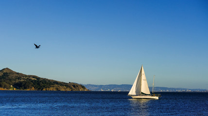 boat sailing San Francisco Bay 