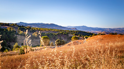 Panoramic view of the Sicilian hinterland in the summer season.