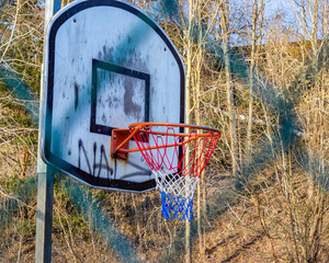 basketball hoop in the park