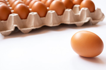 close up organic eggs on the tray. cheap healthy protein. fried egg is good for breakfast