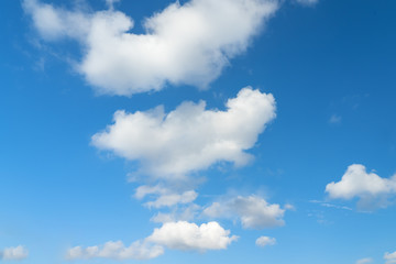 Obraz premium Large white clouds on a blue sky. Clear day. Background, blank for designers.