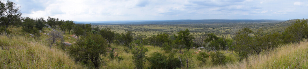 Fototapeta na wymiar Panorama na płaskowyż w Afryce - RPA