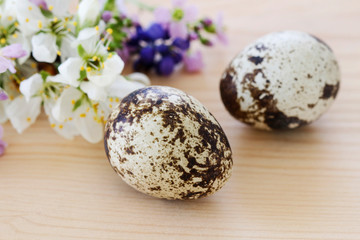 Two quail eggs and spring flowers in the background.