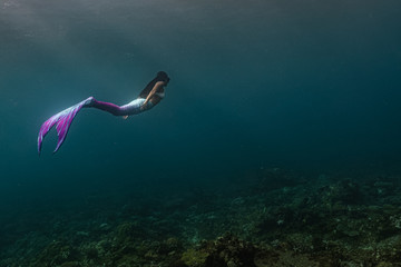 Young female free diver swims underwater in a colorful and sexy mermaid costume.