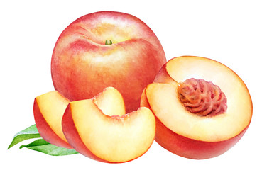 Watercolor peach fruits with leaves.
