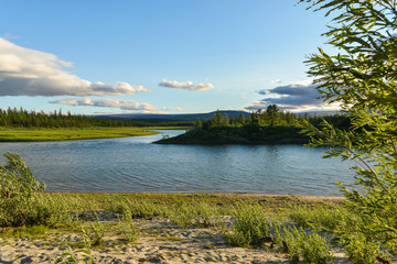 Pike river on the Yamal Peninsula.