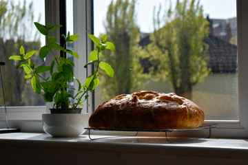 A home baked loaf of bread cooling beside an open window
