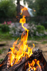 Preparation of coals for frying shish kebab. Summer campfire in the grill.