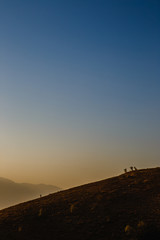 colorful sunrise landscape, stunning summer morning image in mountains, forest on the hill, vertical nature scenery, Europe travel, Carpathian mountains, Europe