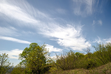 blue skies hill and tree