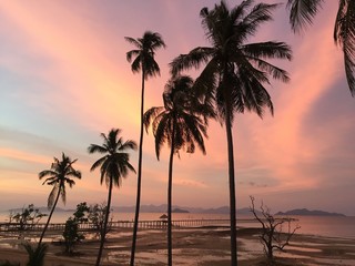 Obraz na płótnie Canvas Silhouette Palm Trees On Beach Against Sky At Sunset