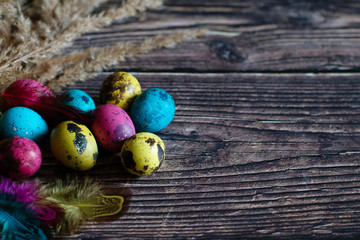 Colorful quail eggs are a symbol of the traditional Church holiday of Easter. Copy space.