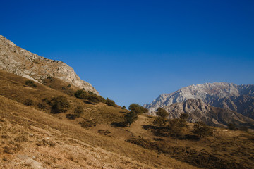 Block hill made of eroding fractured granite above dry canyon with isolated green trees, Saudi Arabia