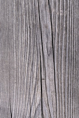 Background and texture of weathered grey larch wood