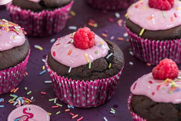 Chocolate cupcakes with raspberry cream and sugar sprinkles