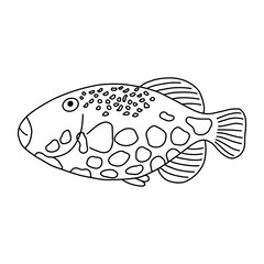 The fish of the sea or river.Coloring pages for adults or children.Black and white image.Doodle coloring book.Vector illustration.