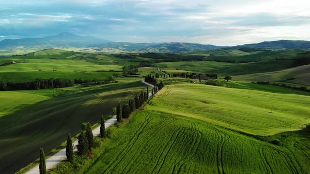 Amazing Italy aerial landscape, typical tuscany aerial landscape. Aerial video over amazing Tuscany landscape, with winding road with cypresses. 
