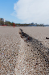 beach in the morning
