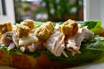 Close up of a caesar salad sandwich