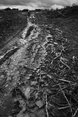 dziecko na błotnistej drodze 