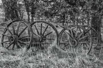 Fototapeta na wymiar Wagon wheels, remnants of a wooden wagon