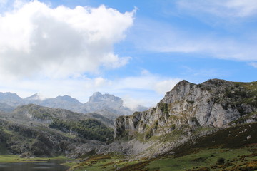 Picos de Europa