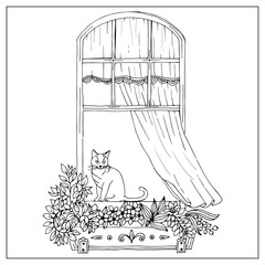 Windows with flowers pots. Hand draw doodle graphics. 