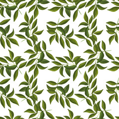 Watercolor illustration. Seamless pattern with hand drawn branch with leaves on white background. 	