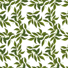 Watercolor illustration. Seamless pattern with hand drawn branch with leaves on white background. 	
