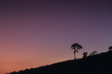 Beautiful sunset on the high mountain in Chiang Rai province, Thailand.