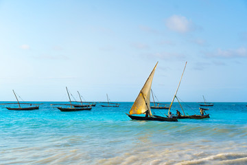 Zanzibar Pesca