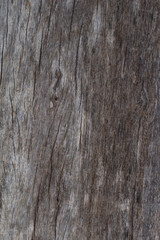 Obraz premium Wood texture that looks old.