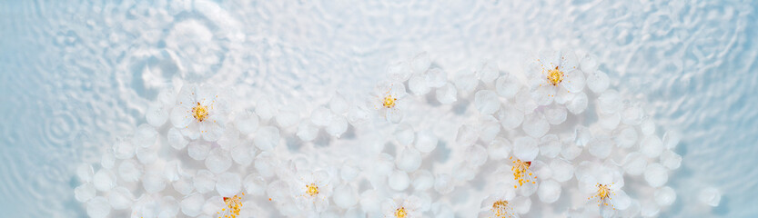 white flowers on the water with highlights and drops. the concept of care and cleansing. a panoramic background