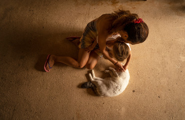 cats