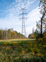 poles for high voltage electric cables in the autumn forest