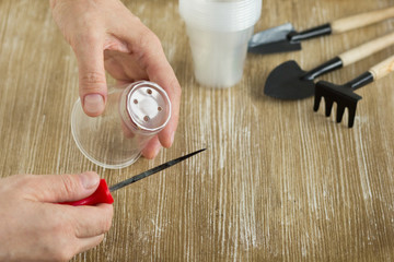 Woman hands holding plastic cup with made drainage holes on bottom using awl on the wooden...