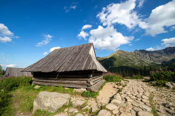 View of the Tatras mountains and colorful flowers in Gasienicowa valley