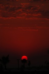 exotic red sunset with buildings outline and palm trees,