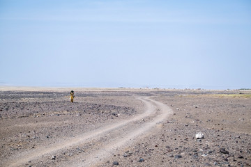 A woman walks in the desert on the way to Lake Abbe