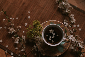 Cup of tea with blooming flowers