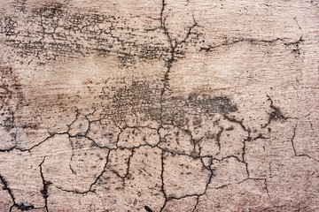 Texture of a concrete wall with cracks and scratches which can be used as a background