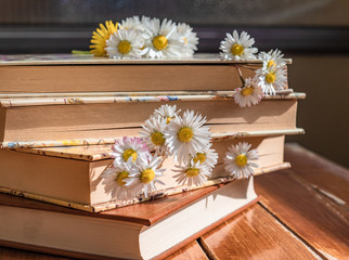 books on a wooden garden table with daisies used as a bookmark