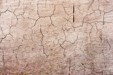 Texture of a concrete wall with cracks and scratches which can be used as a background